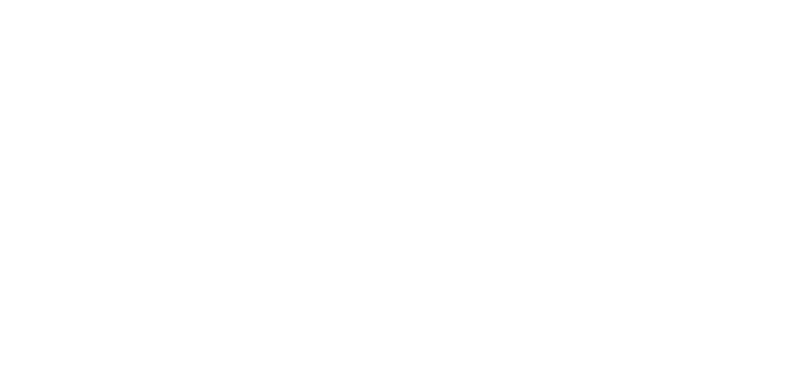 TRANSCARGA RP S.A.S